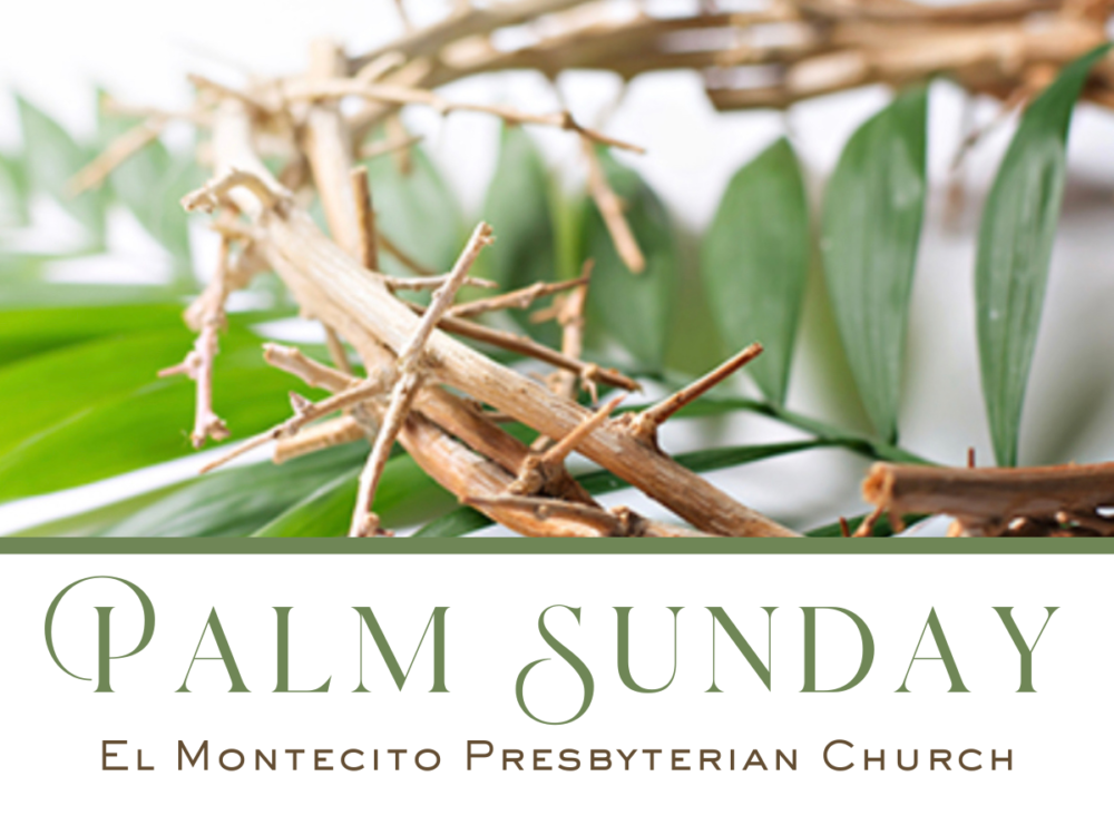 04-13 Palm Sunday