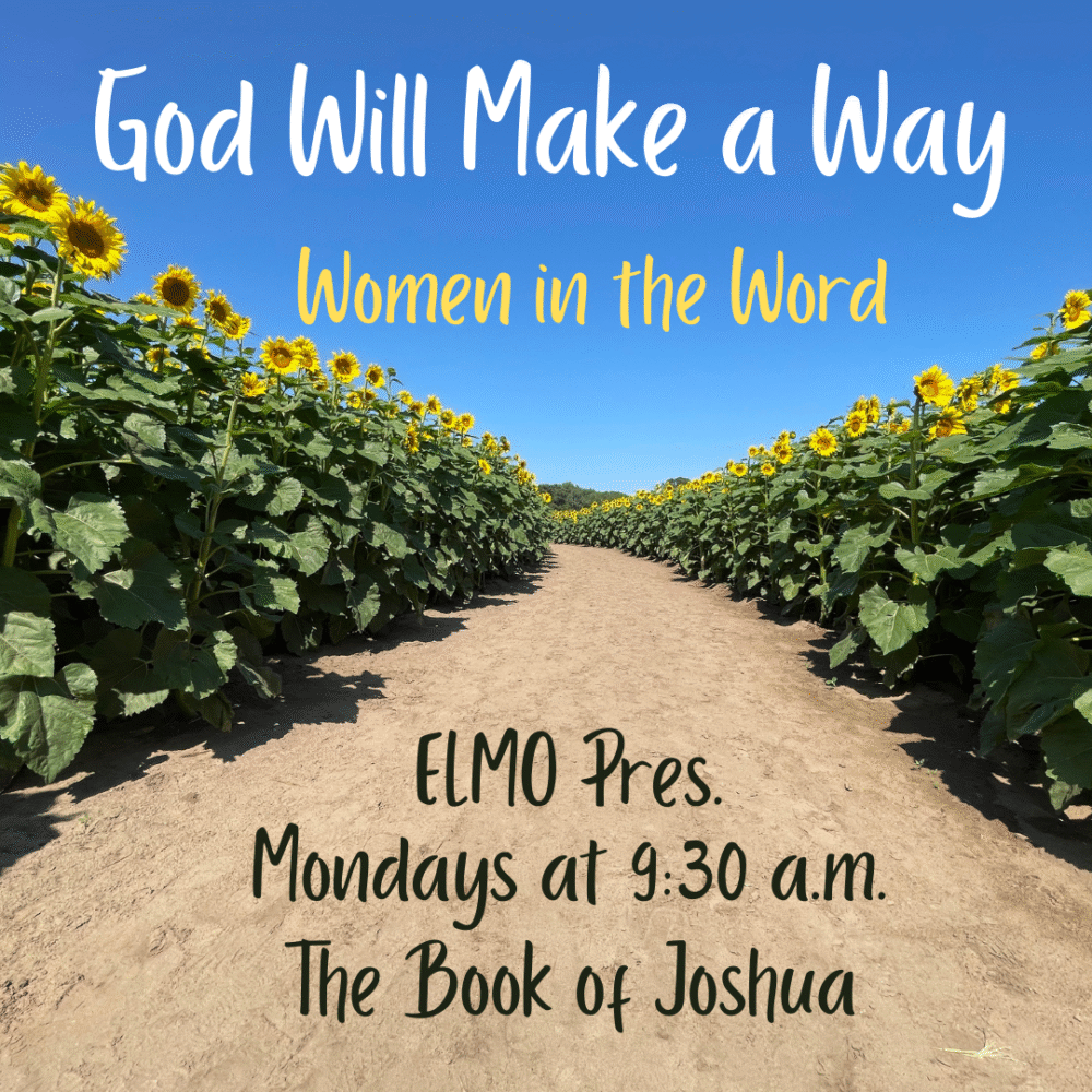 Women in the Word