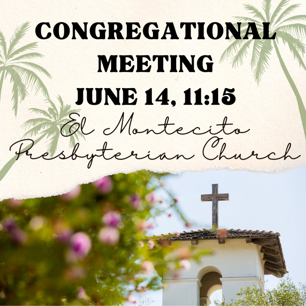 06-14 Congregational Meeting