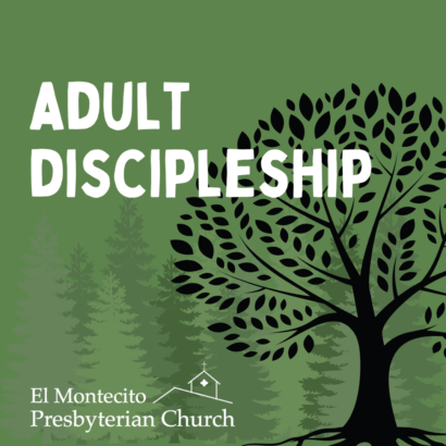 Adult Discipleship Sundays